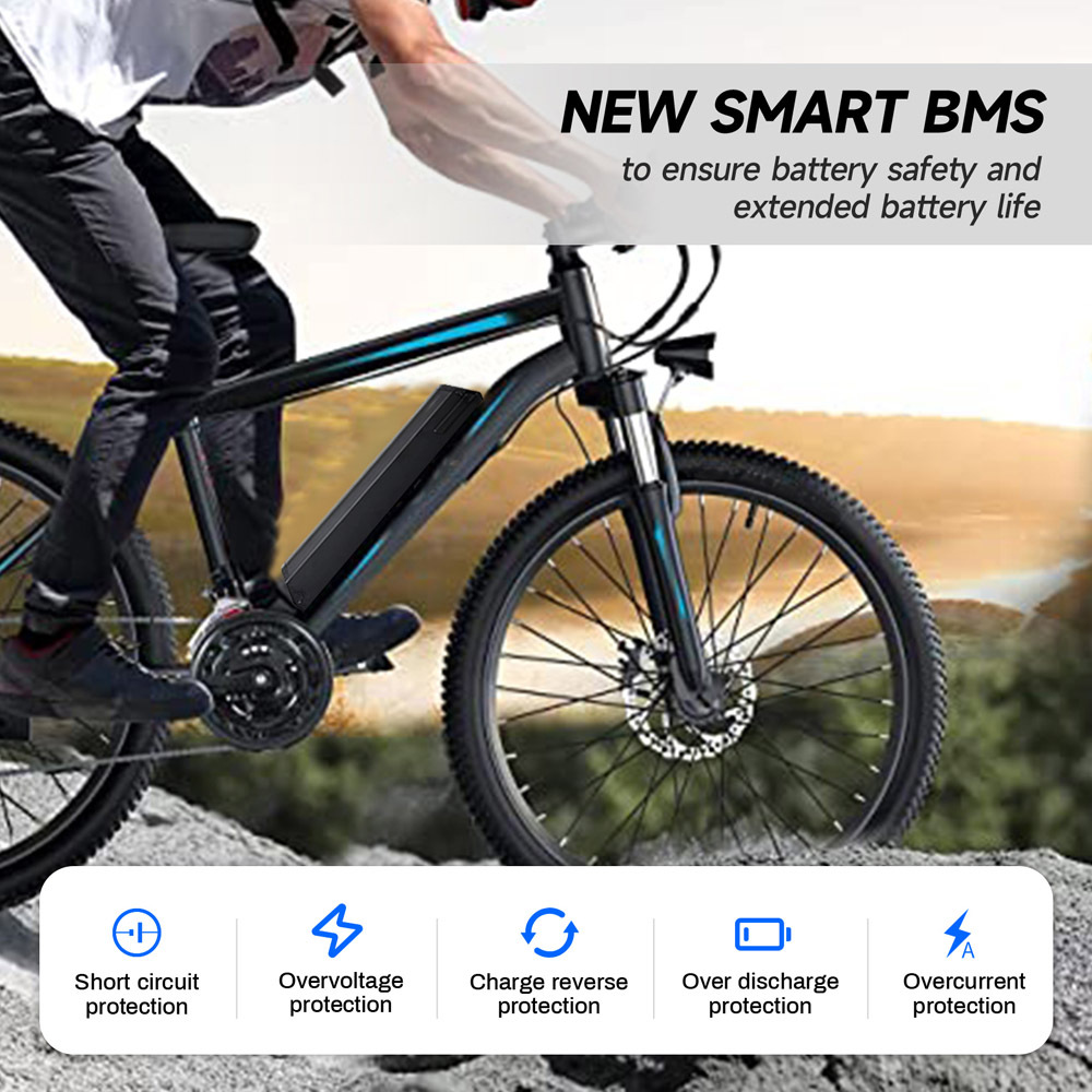E-Bike Battery Lithium 48 Volt 10.5Ah Original Reention Dorado 48V Ebike Battery Removable Fit for Electric Bicycle Wallke X3 Pro MacWheel Cruiser 250W 350W 500W 750W Motor with E Bike Charger