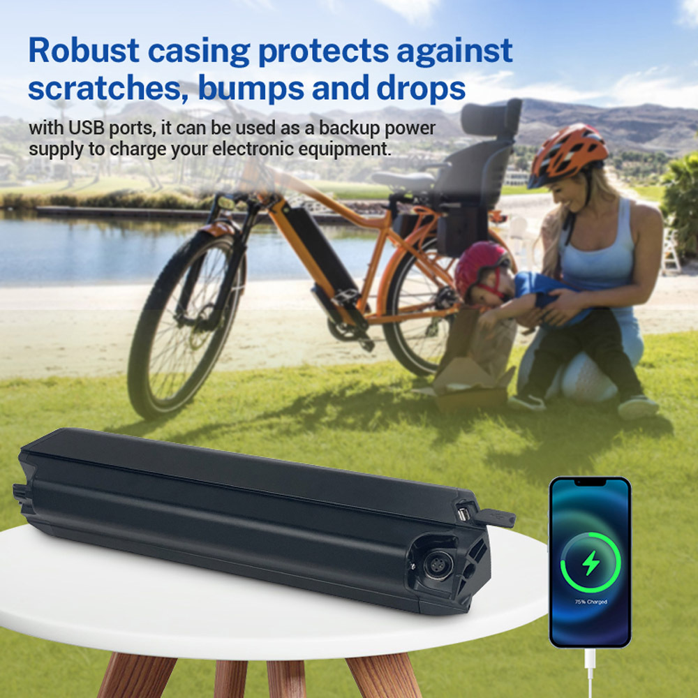 E-Bike Battery Lithium 48 Volt 10.5Ah Original Reention Dorado 48V Ebike Battery Removable Fit for Electric Bicycle Wallke X3 Pro MacWheel Cruiser 250W 350W 500W 750W Motor with E Bike Charger