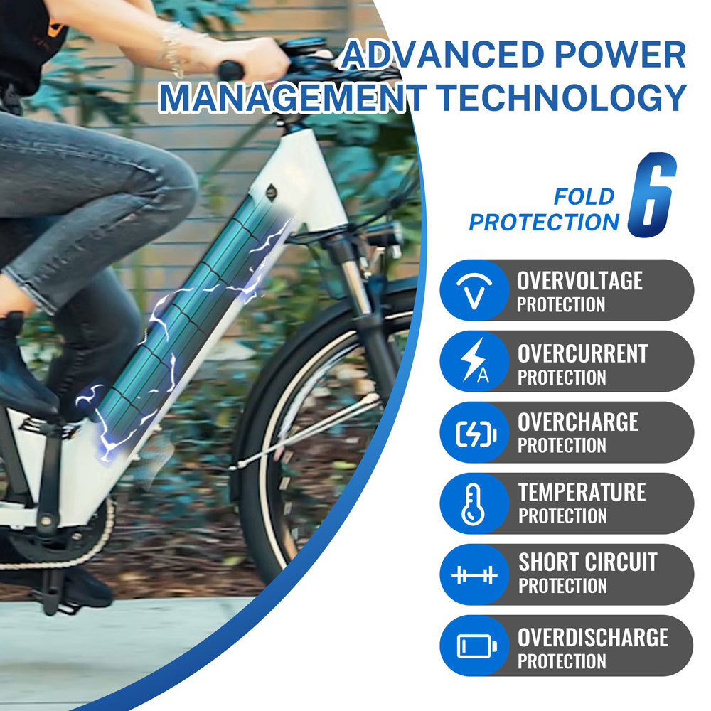 36V 48V Bird Electric Bike Spare Integrated Lithium Batteries for PHOENIX Tenways CG800s Econic One Adventure Bandit Jordaan Veloretti Ebike Battery Replacement