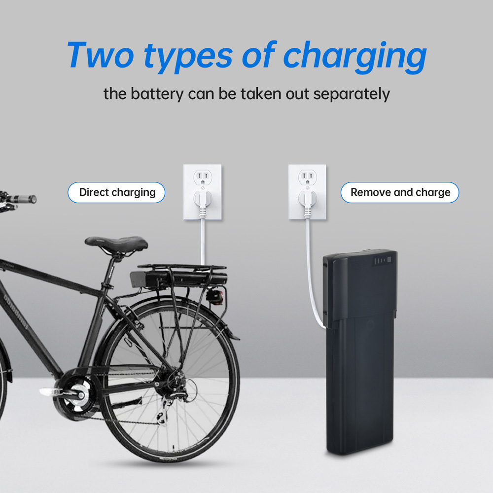 36V 48V Ebike Battery Rack Carrier Luggage Lithium E-Bike Batteries Fit for Ansmann Virtue Schoolbus Kemp Starley Rear Rack 100W-750W Motors Electric Bike Battery Replacement