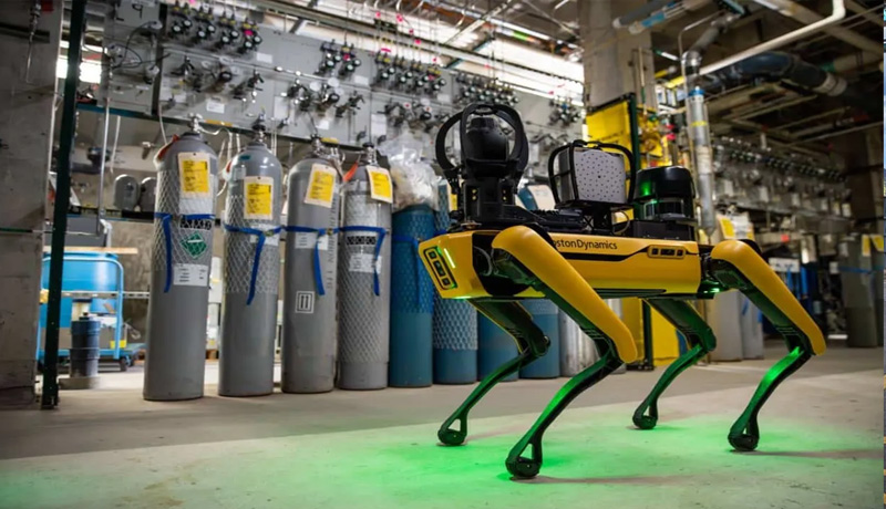 Robodog Commercial Power Systems: BMS, Batteries & Global Custom Services