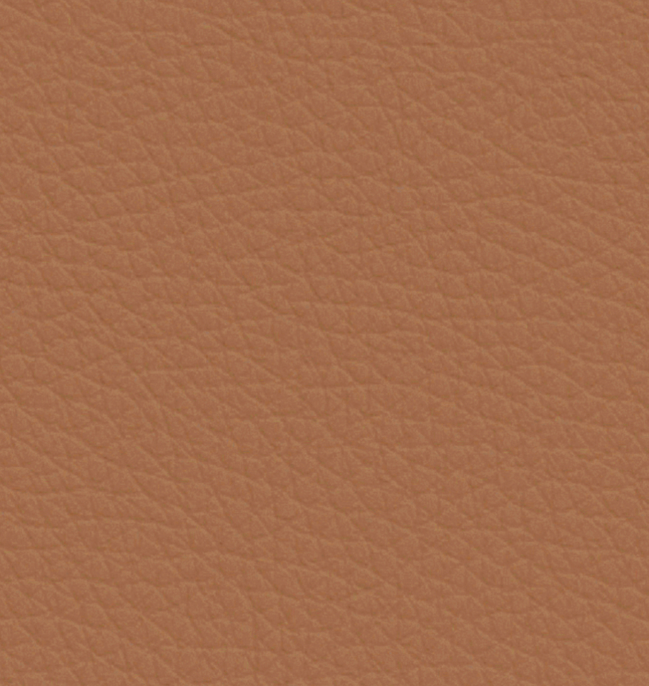 Italian minimalist leather sofa: minimalist texture, creating a comfortable living room area