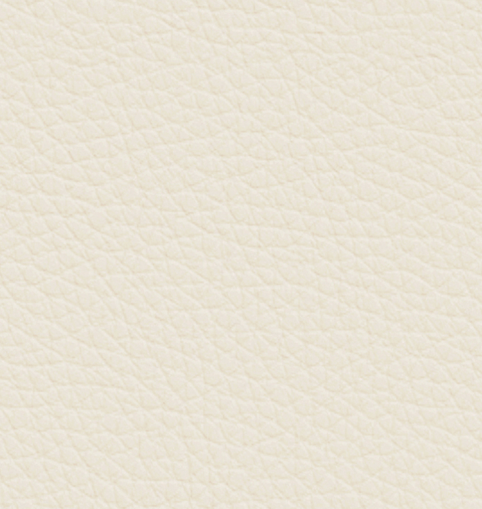 Italian minimalist leather sofa: minimalist texture, creating a comfortable living room area