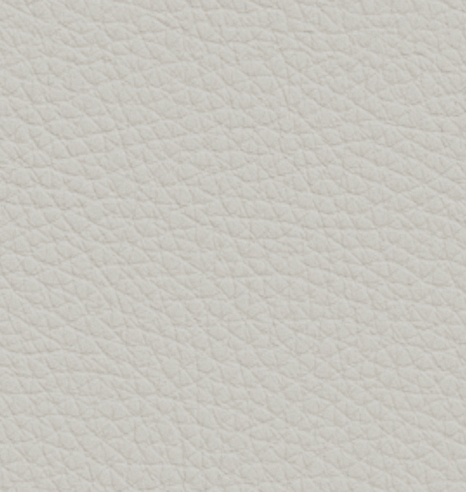 Italian minimalist leather sofa: minimalist texture, creating a comfortable living room area