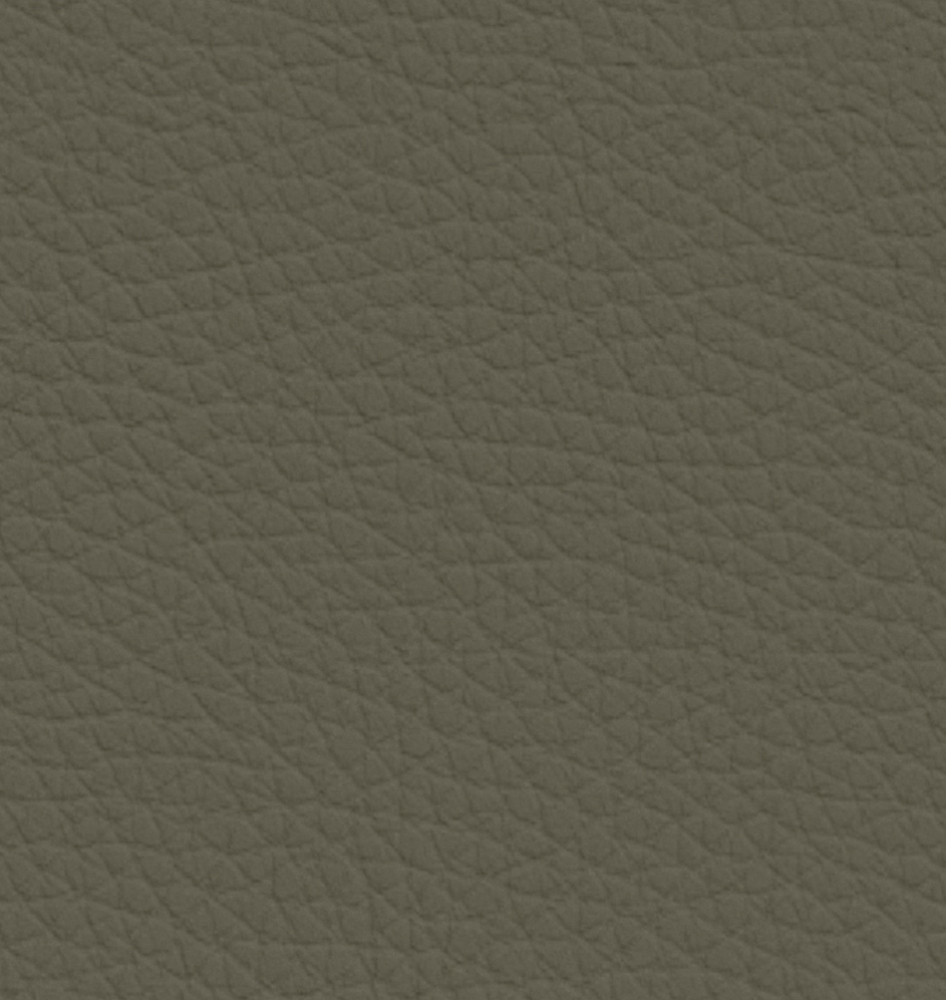 Italian minimalist leather sofa: minimalist texture, creating a comfortable living room area