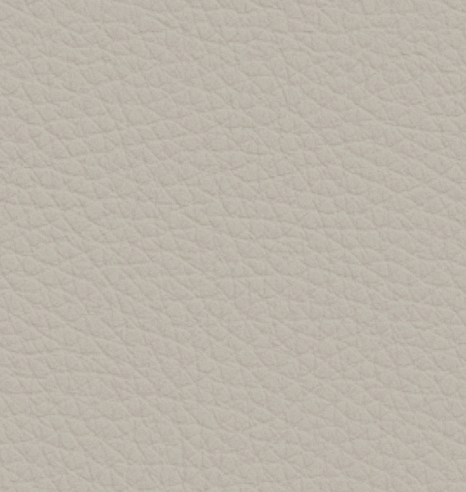 Italian minimalist leather sofa: minimalist texture, creating a comfortable living room area