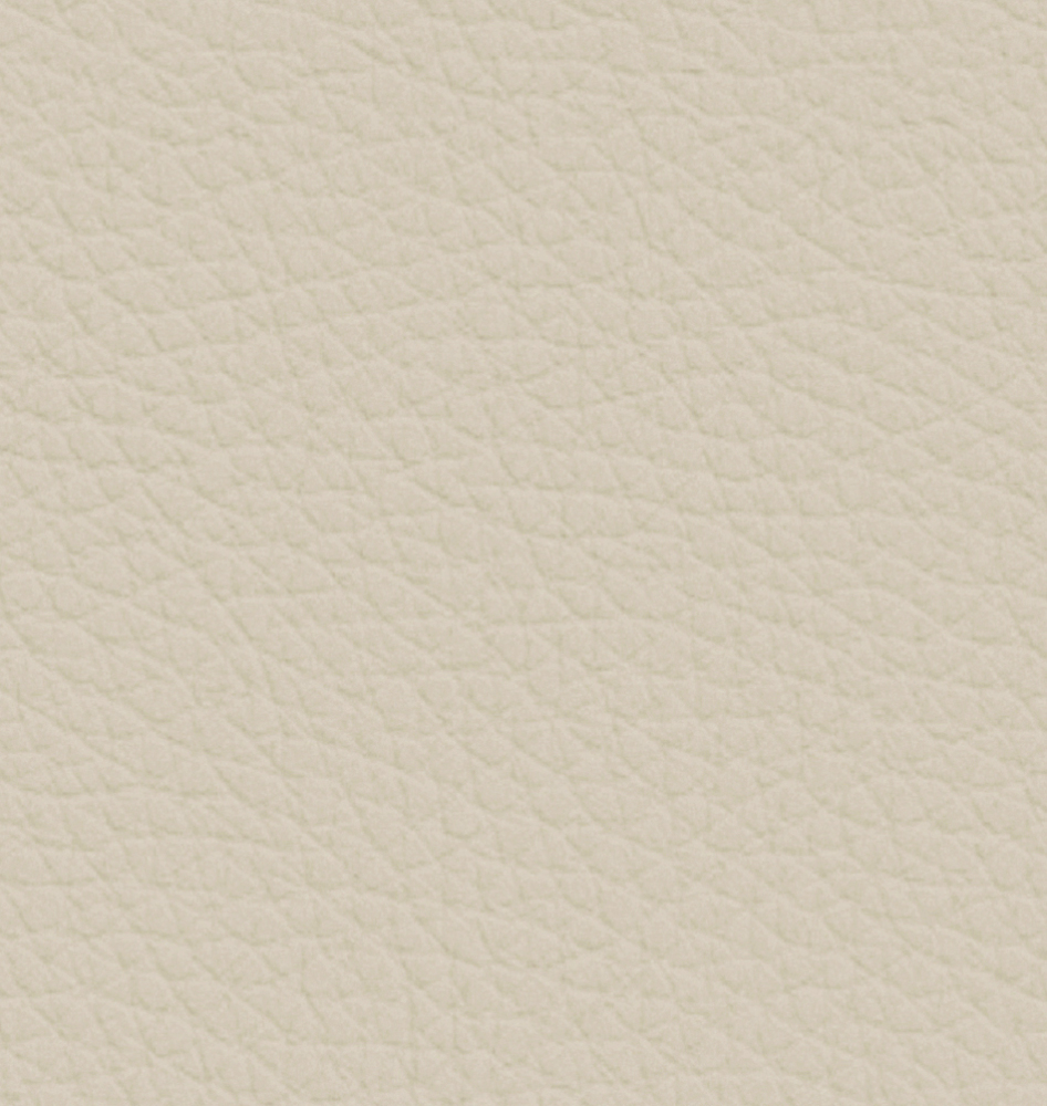 Italian minimalist leather sofa: minimalist texture, creating a comfortable living room area