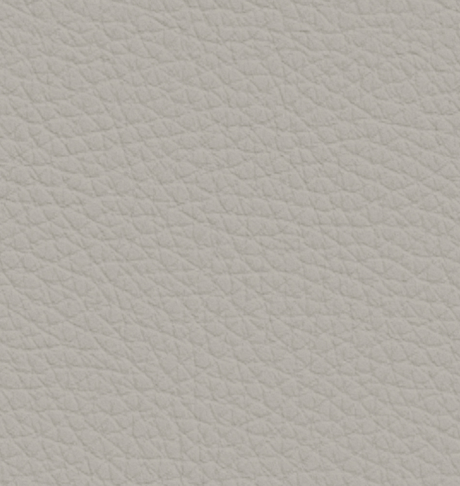 Italian minimalist leather sofa: minimalist texture, creating a comfortable living room area