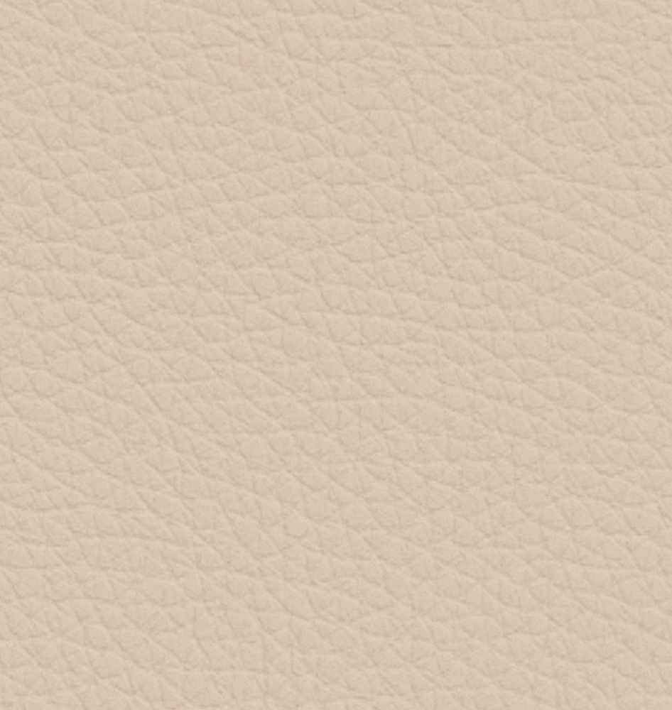 Italian minimalist leather sofa: minimalist texture, creating a comfortable living room area