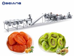 Candied Fruits Production line