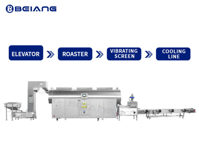 cashew nut roasting line