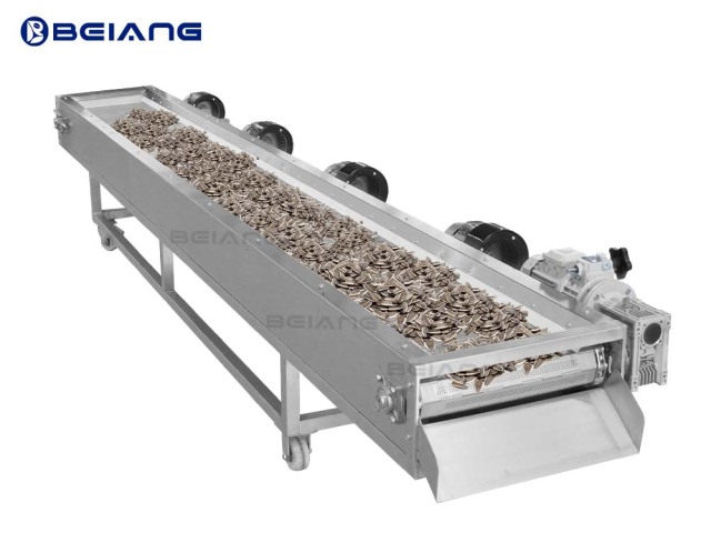 Cooling conveyor with sunflower seeds