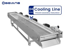 Cooling machine for rice cake slices puffing line