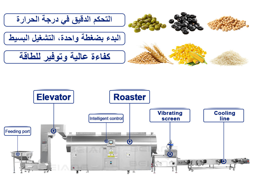 مصنع خطوط إنتاج تحميص الحبوب الأوتوماتيكية