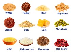 350 KG/Batch Automatic Grain Roasting Production Line Manufacturer