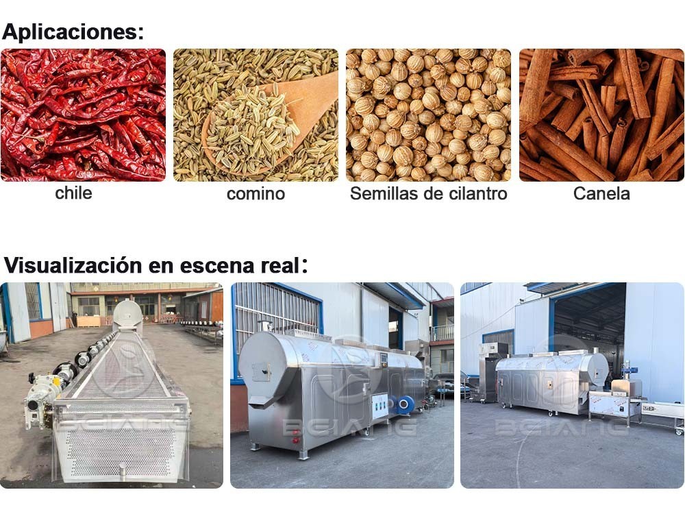 L&iacute;nea de producci&oacute;n de tostado de especias multiuso controlada por PLC