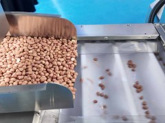 Многофункциональная линия по обжарке арахиса