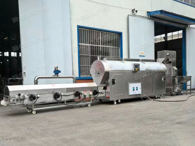 Gas CE-Certified Sunflower Seeds Roasting Solution