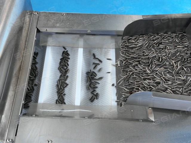 Sunflower Seeds Roasting Machine Supplier