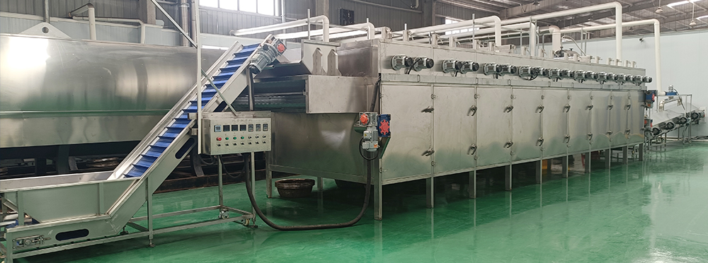 Belt Type Nut Roasting Production Line supplier