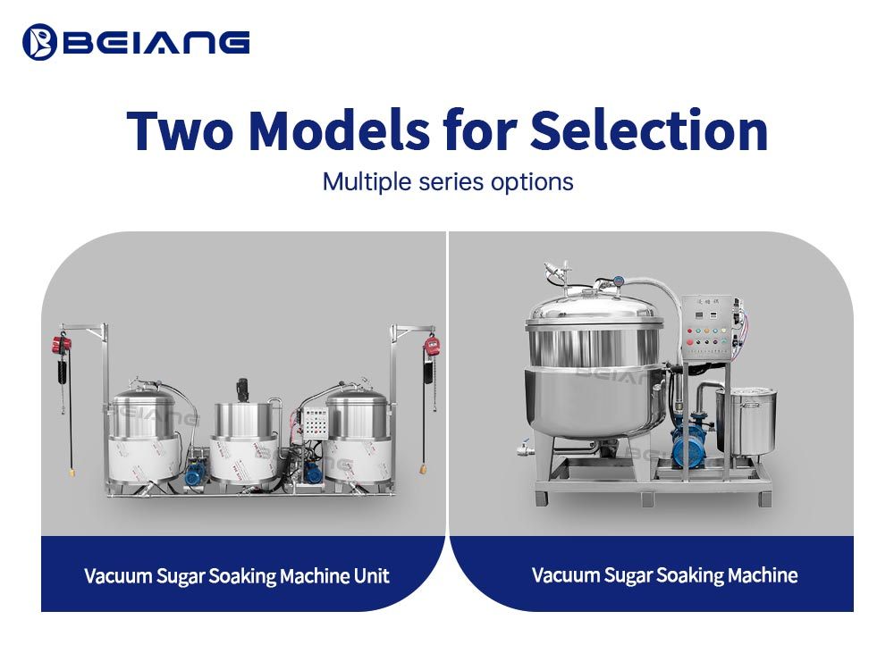 Two Models of the Vacuum Sugar Dipping Machine