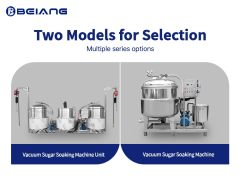 Two Models of the Vacuum Sugar Dipping Machine