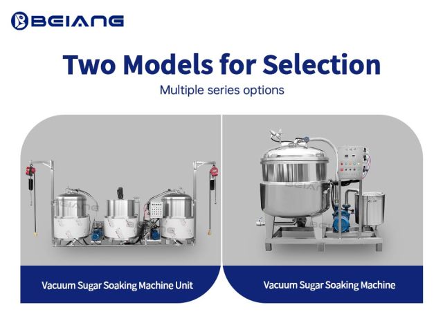 Two Models of the Vacuum Sugar Dipping Machine