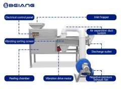 Structures of the peanut peeling machine