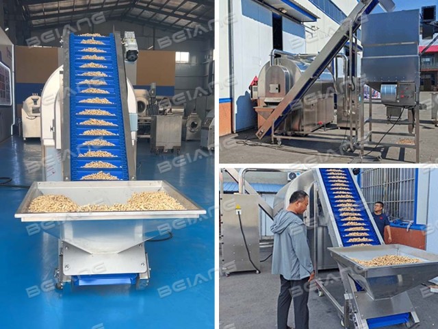 Machine test for the salt-separating sunflower seeds roasting machine 