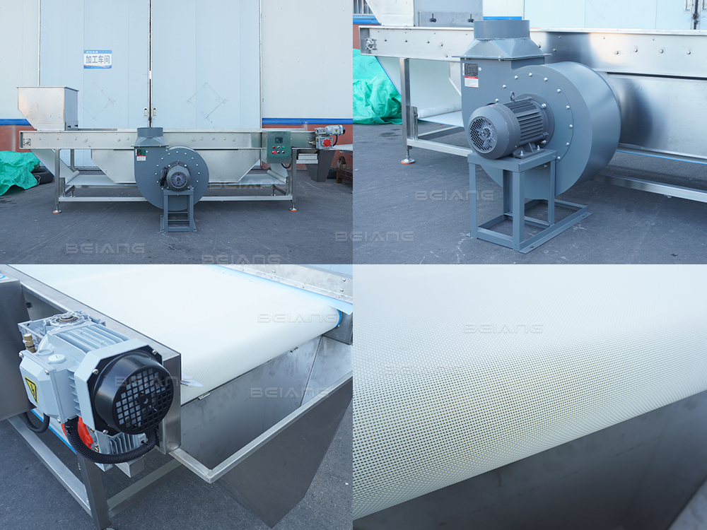 Continuous Food Dewatering Machine | Conveyor Belt Water Removal Equipment