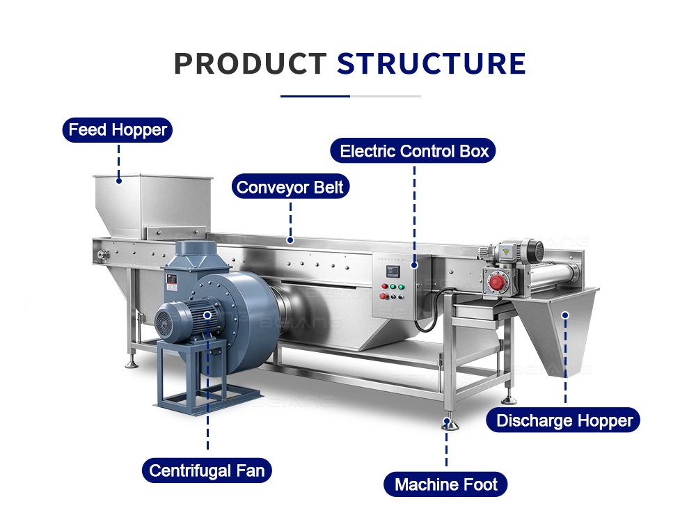 Continuous food dewatering machine