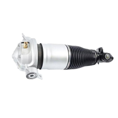Air Suspension  Audi Q7/Cayenne/Touareg, Rear/L   old style