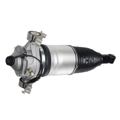 Air Suspension   Cayenne/Volkswagen Touareg, Rear/L new style