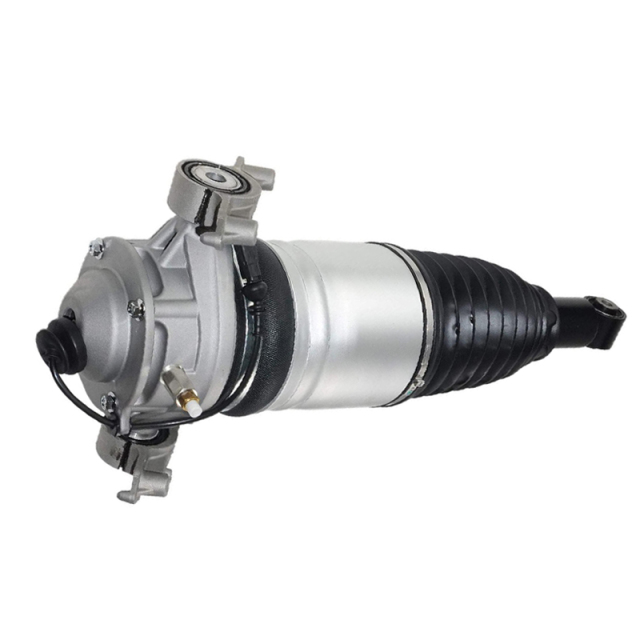 Air Suspension   Cayenne/Volkswagen Touareg, Rear/R  new style