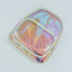 BAP045 Transparent knapsack