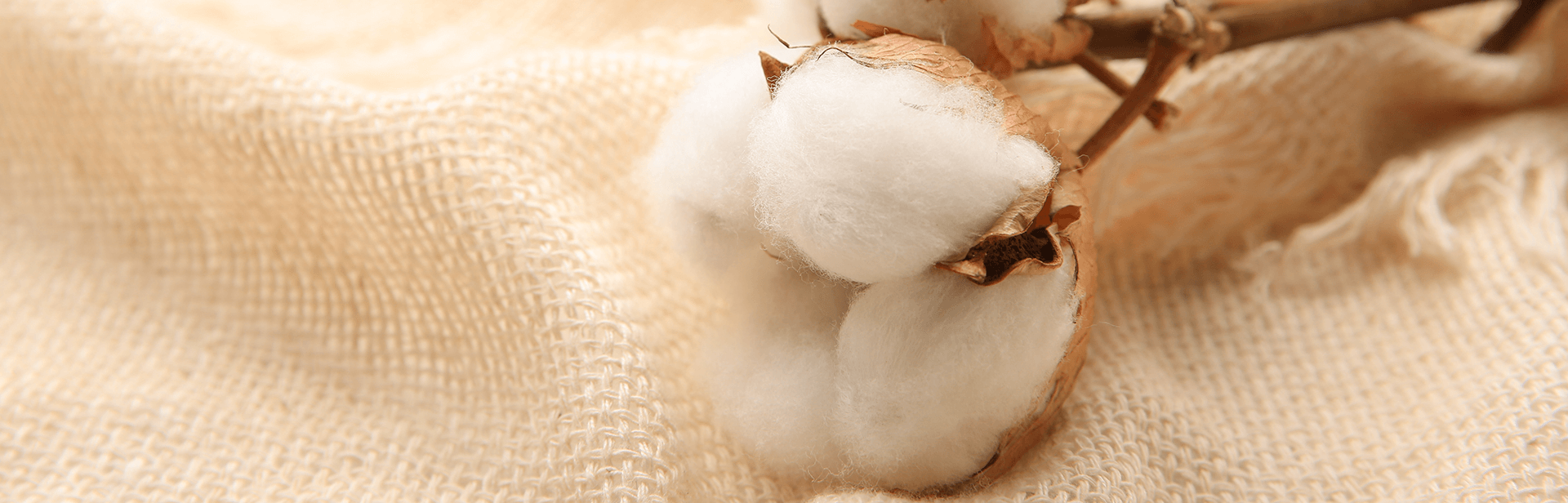 Sustainable Custom Cosmetic Bags by rivta manufacturer