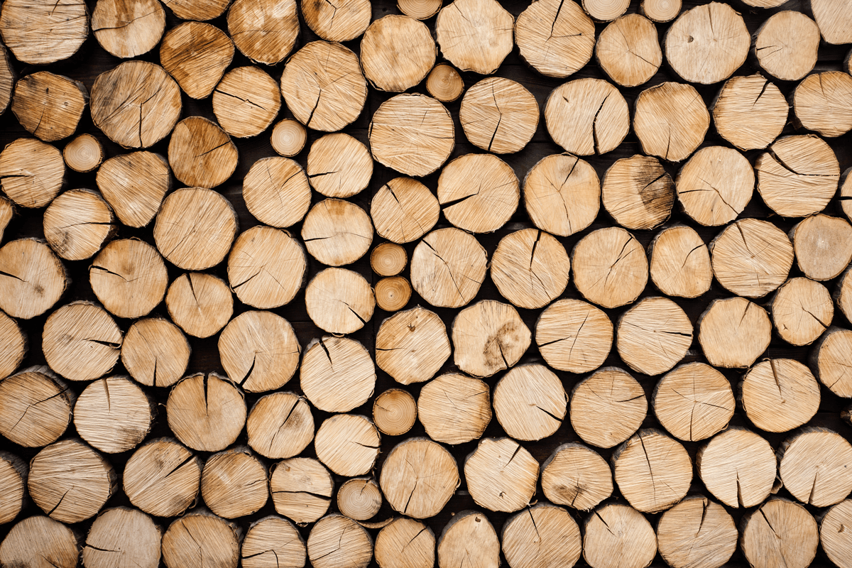 Biobasedfabric-LyocellFiber