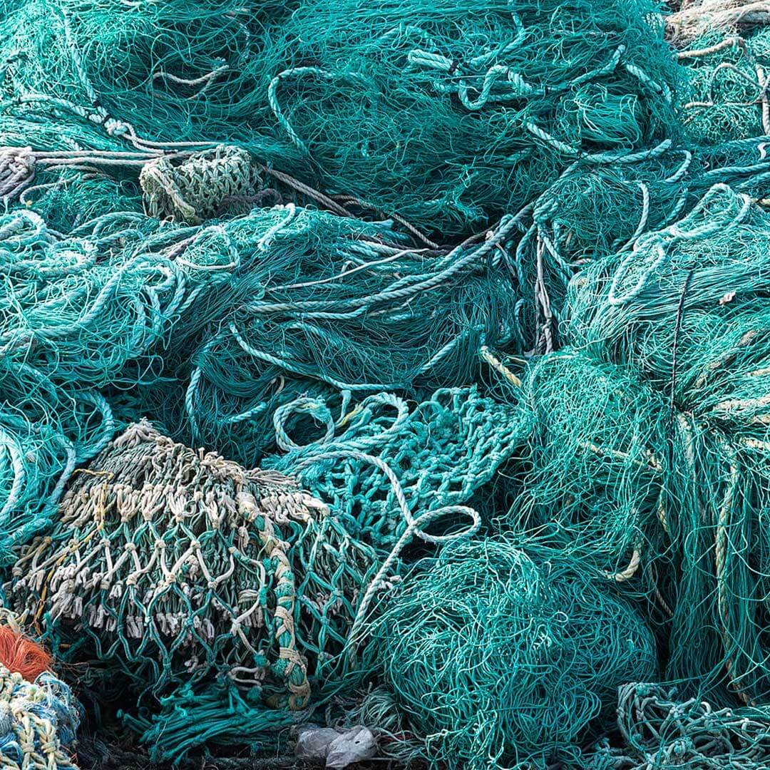 Discarded fishing nets are collected