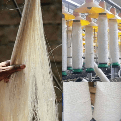 Combing and Spinning banana Fiber