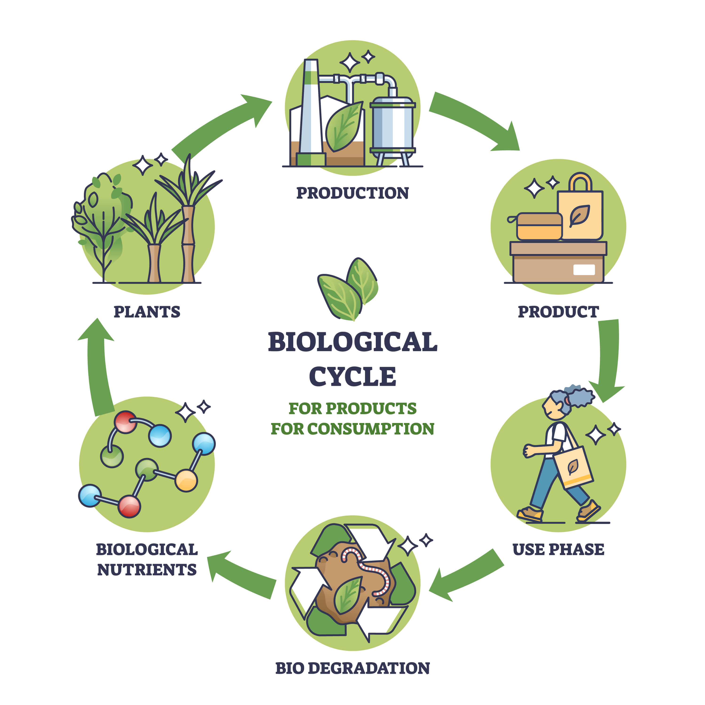 BIOLOGICALCYCLE FOR PRODUCTSFOR CONSUMPTION