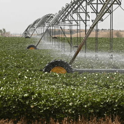 EcologicalCultivation