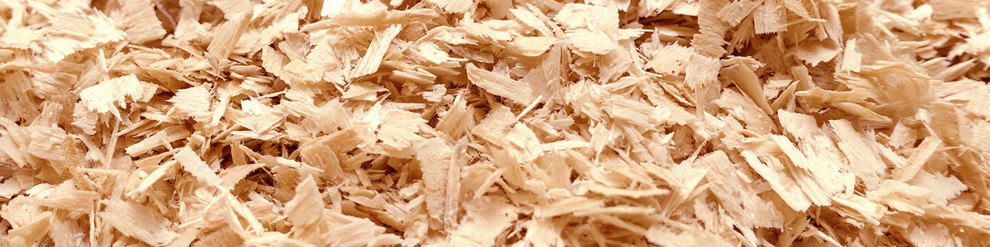 Lyocell Fiber