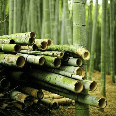 Harvesting Preparation