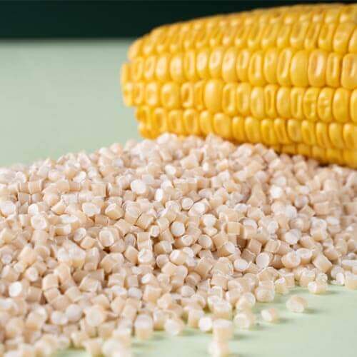 Extraction Bio-Resin Synthesis