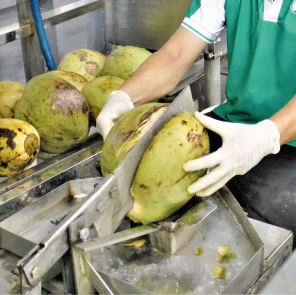 Collect waste coconut water