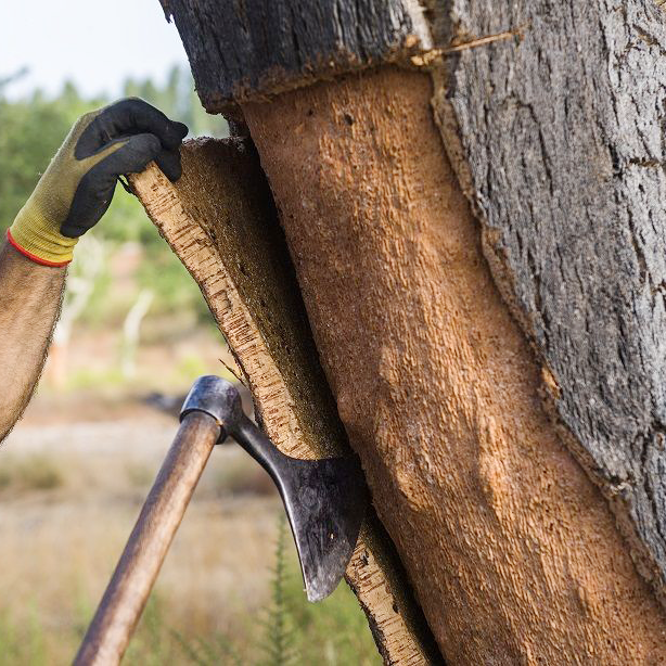 RawMaterialCollection