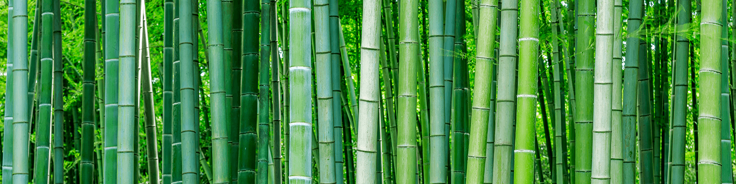 Bamboo fiber material for cosmetic bag fabric and handfeel comparison