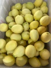 Excellent grade lemon
