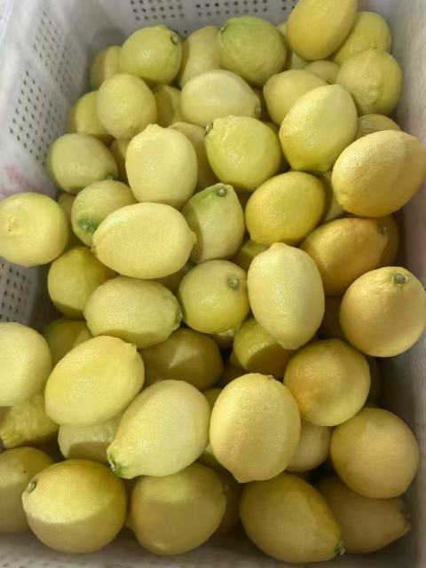 Excellent grade lemon
