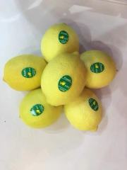 Excellent grade lemon
